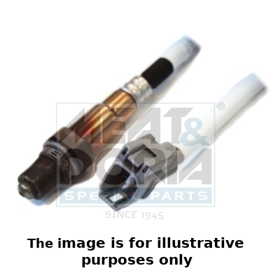 Oxygen Sensor